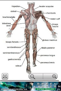 Human Anatomy(圖2)-速報App