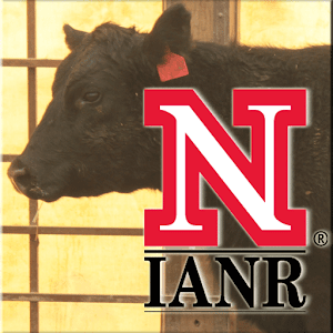 Udder & Teat Scoring Beef Cows 