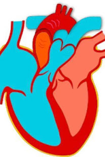Learn Medical Terminology(圖1)-速報App