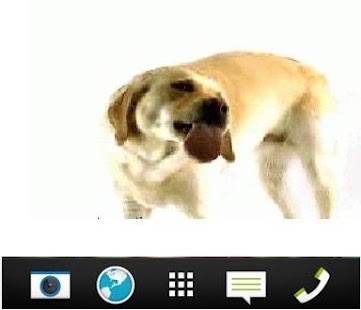 Download Dog Live Wallpaper APK for Android