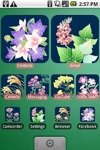 DVR:Seven Herbs of Autumn(圖1)-速報App