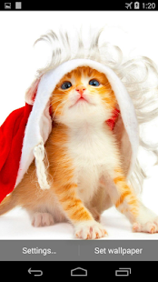 Funny Christmas Cat Wallpaper Screenshots 2