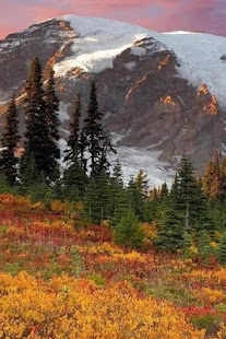 Wallpaper Nature Free HD(圖1)-速報App