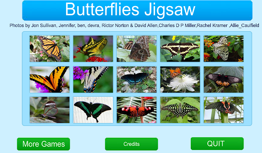 Butterflies Jigsaw