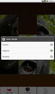 Monkey Puzzle Screenshots 8