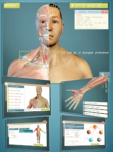 Advanced Acupuncture 3D