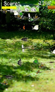 How to get Insect-collecting patch 1.1 apk for laptop