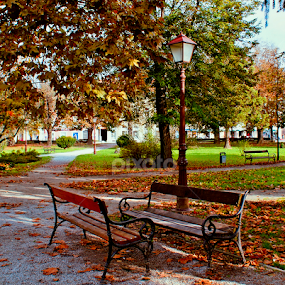 club stories by Branka Radmanić - City,  Street & Park City Parks