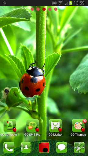 GO Launcher EX Ladybird Theme