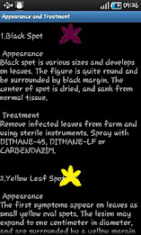 Dendrobium Doctor(ENG) poster 3