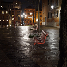 Plaza Park Bench by Donald Henninger - City,  Street & Park Neighborhoods