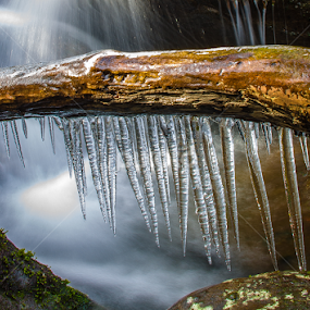 by Victor Martin - Nature Up Close Natural Waterdrops