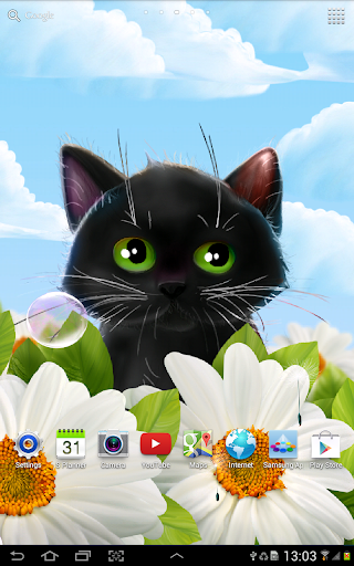 Download Cute Kitten Live Wallpaper Google Play softwares
