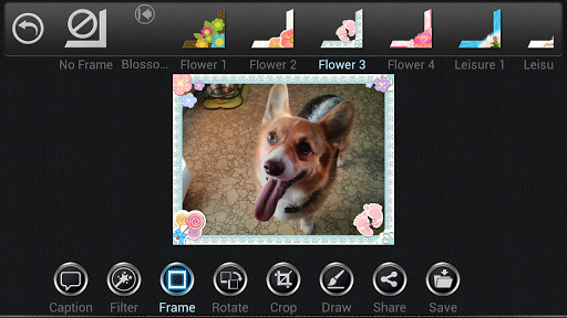 免費下載攝影APP|카메라에이스 프레임: Blossom Pack app開箱文|APP開箱王