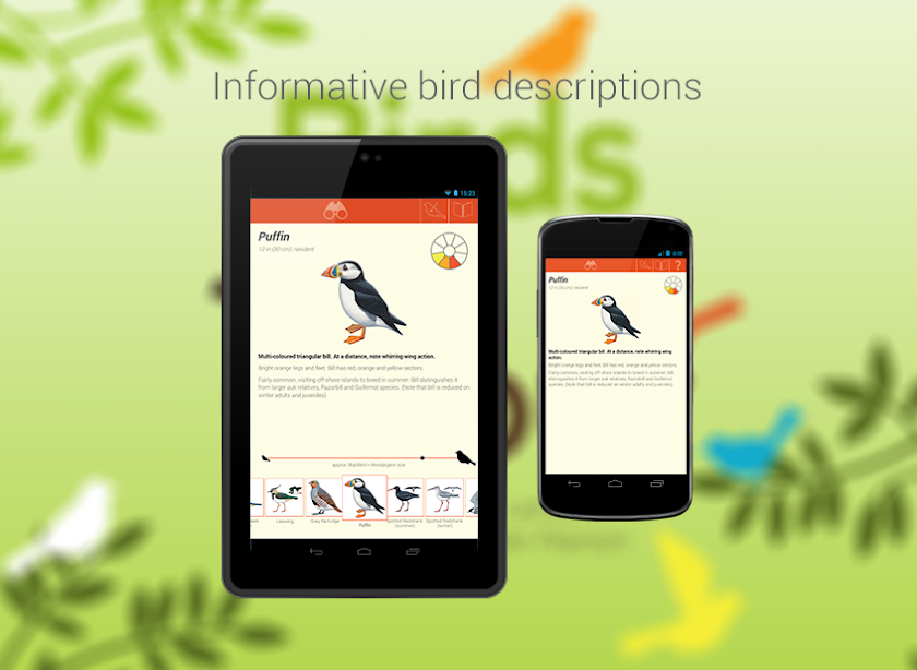 Birds by Colour Screen 3