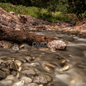 River running wild by Petrea Ionut - Landscapes Waterscapes