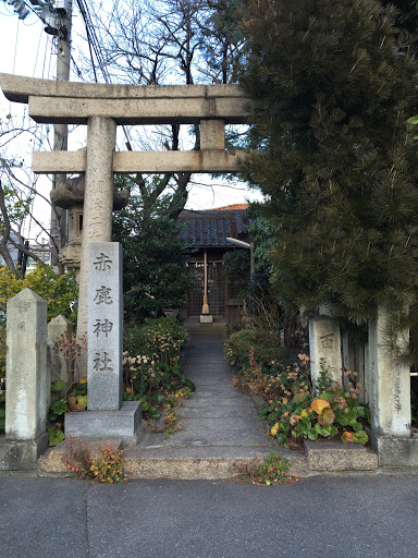 赤鹿神社 Aka Shika Shrine