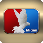 Almavision Miami 4.1.1 Icon