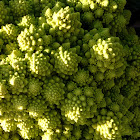 Romanescu, Romanesco broccoli