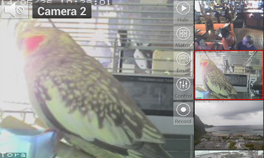 Viewer for Webcamxp IP cameras(圖4)-速報App