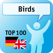 100 Birds Keywords