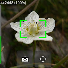  CameraPro v2 60