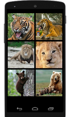 猛獣の鳴き声 トラ ライオン クマ Androidアプリ Applion