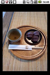 Web Image Gallery Free poster 3