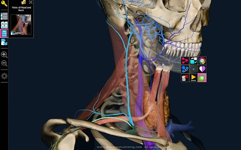  Anatomy Learning - 3D Atlas: miniatura de captura de pantalla  