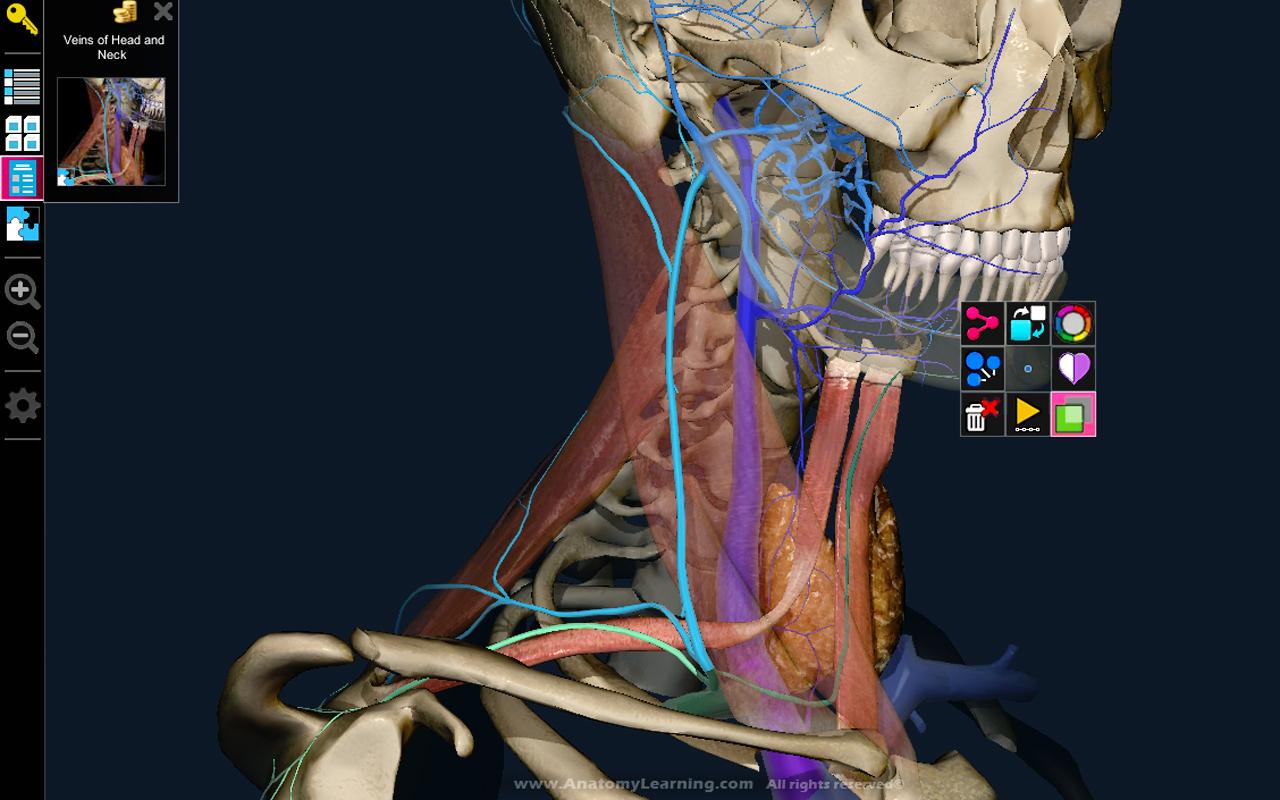   Anatomy Learning - 3D Atlas: captura de pantalla 