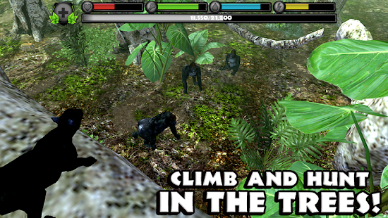 Panther Simulator(圖3)-速報App