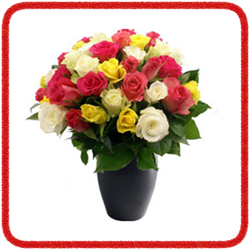 Send Flowers Online LOGO-APP點子