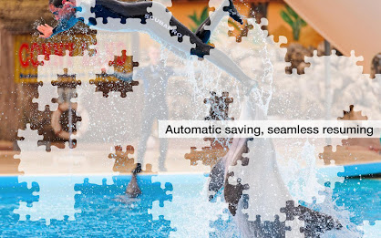 Dolphin Jigsaw Puzzles Demo poster 8