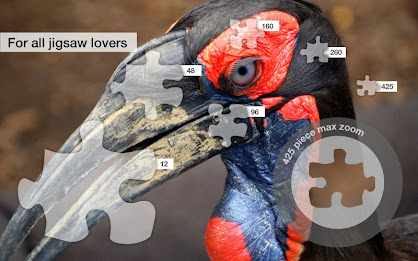 Jigsaw Puzzles: Kenya poster 2