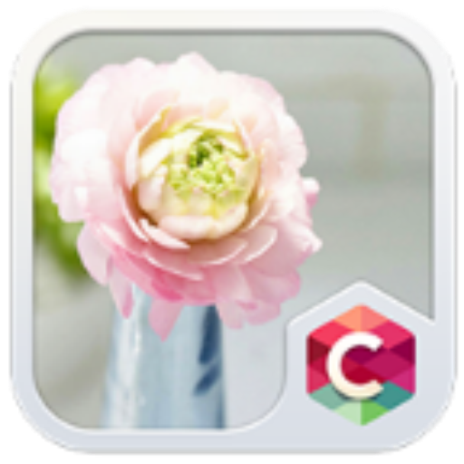 Romantic Flower Theme LOGO-APP點子