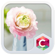 Romantic Pink Flower Theme HD  Icon