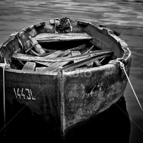 by Ivanka Ruter - Black & White Objects & Still Life