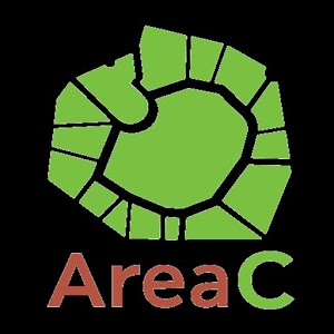 Area C Milan 1.0