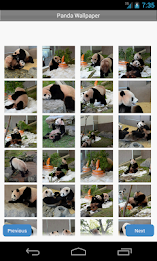 Panda Wallpaper by Right Brain Mobile poster 1