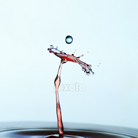 Water Drop Flower by MIGUEL CORREA - Abstract Water Drops & Splashes
