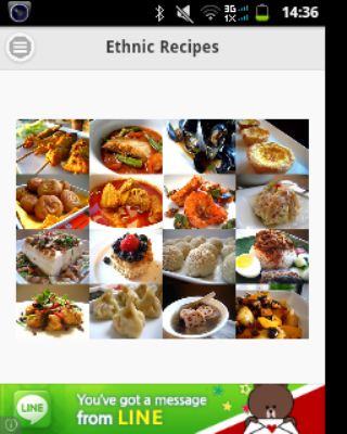 Ethnic Recipes