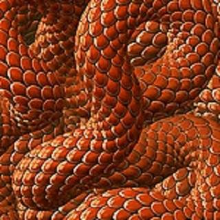 Orange Snakes Live Wallpaper