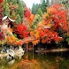 Autumn in Japan Wallpapers HD