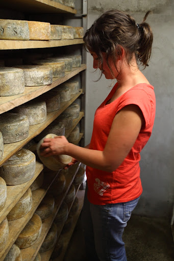 Basque Pyrenees Mountain Cheeses