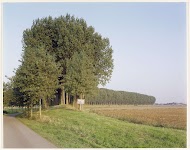 Hertogin Hedwige polder