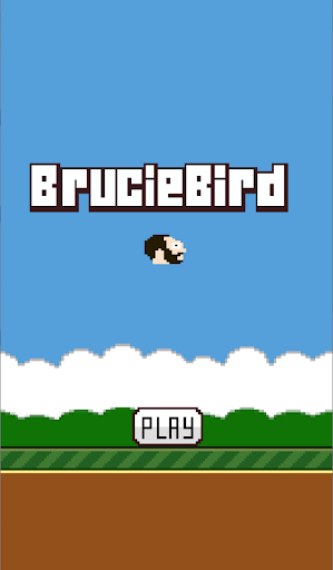 BrucieBird