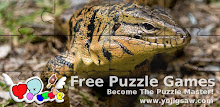 Tegus Jigsaw Puzzles APK