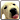 DOG SCREEN CLEANER LWP FREE