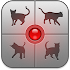 Human-to-Cat Translator1.11
