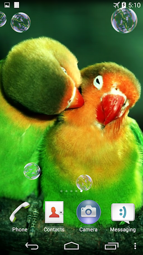 Parrots Live Wallpaper